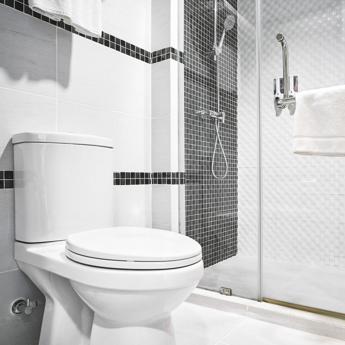 Picture of a toilet and shower in a bathroom