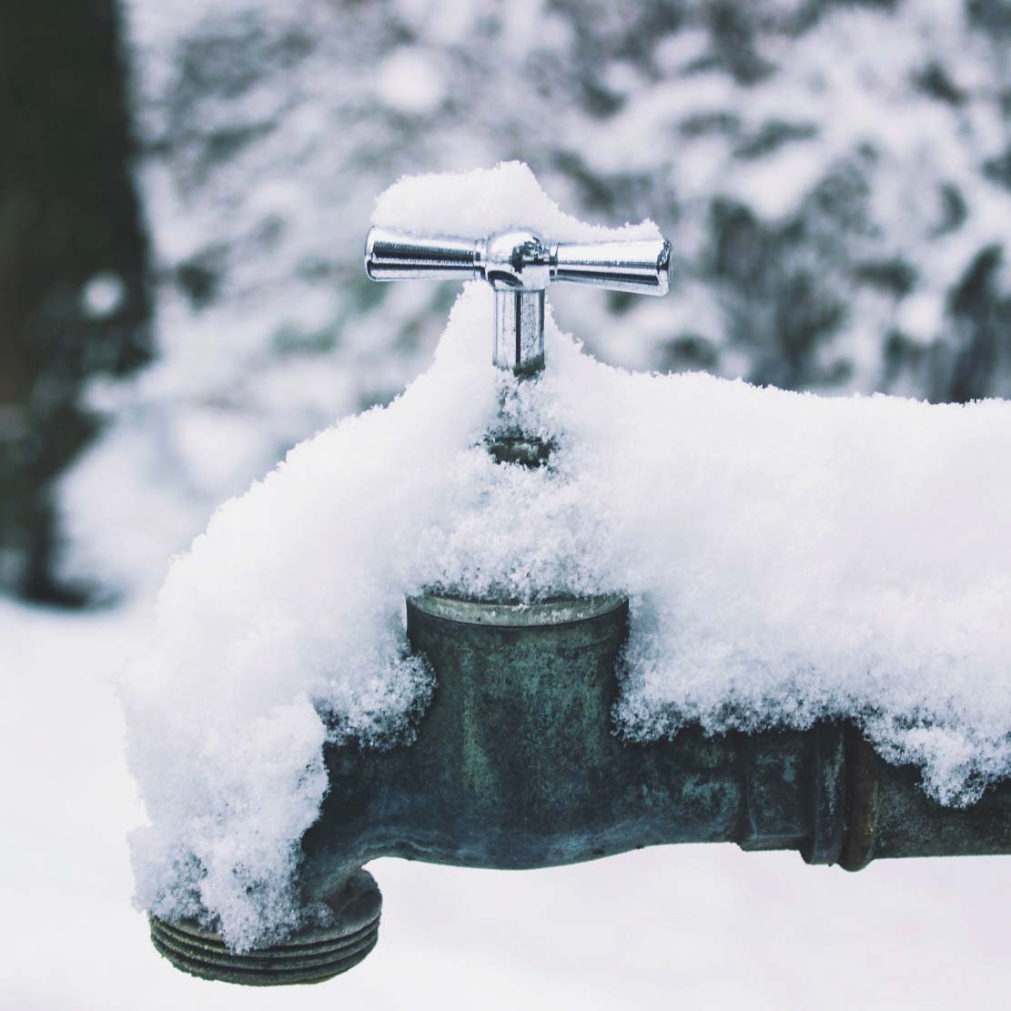 Frozen Spigot