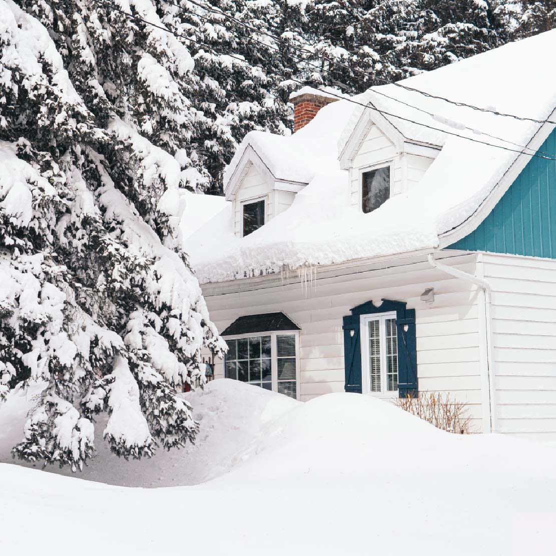 Home and tree covered in snow.  